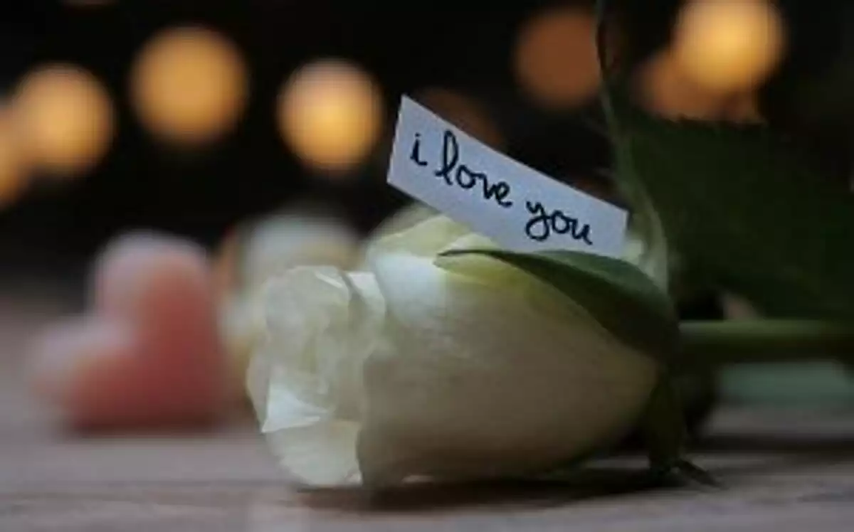 cadeau saint valentin