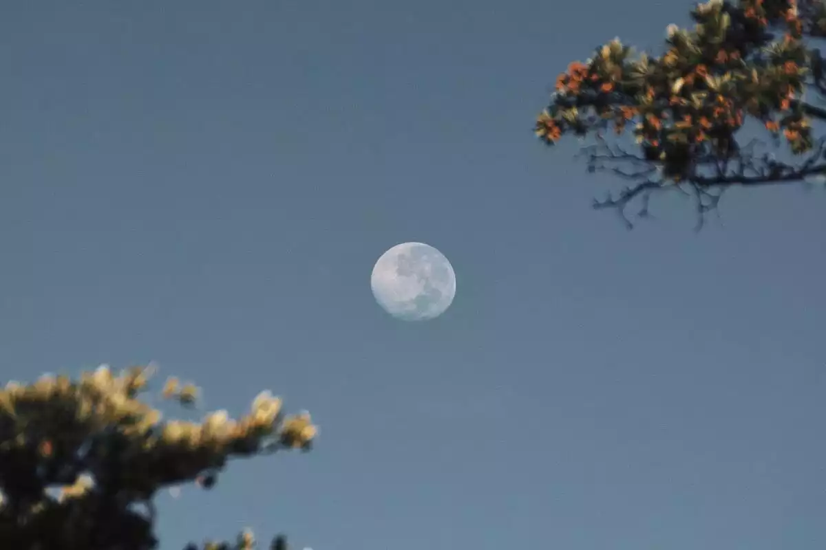 La lune dans le ciel du jour