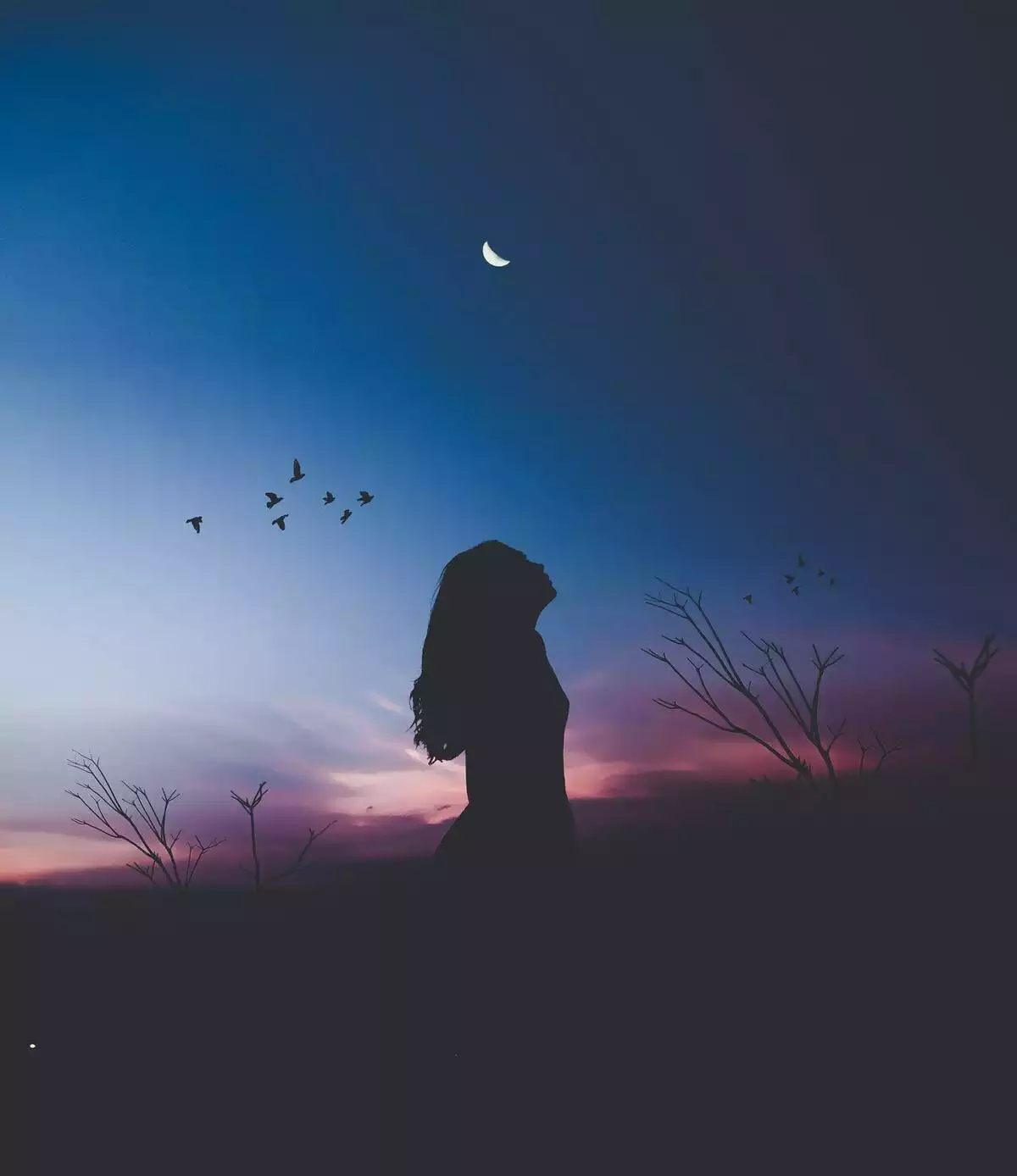 Fille dans le noir en regardant le ciel