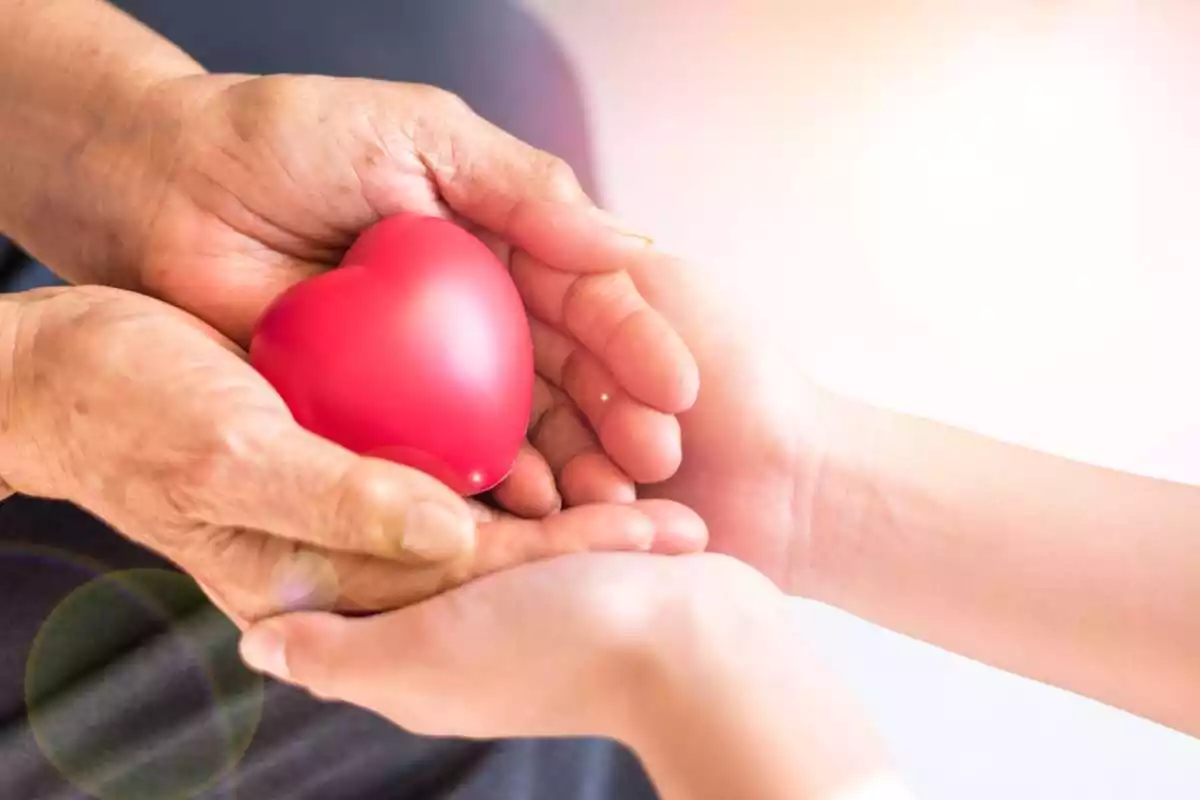 Deux mains se partagent une balle en forme de coeur