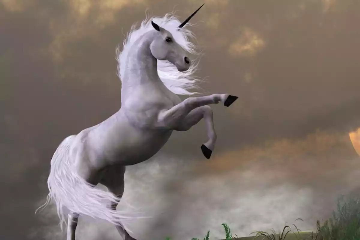 Image d'une licorne aux pattes levées